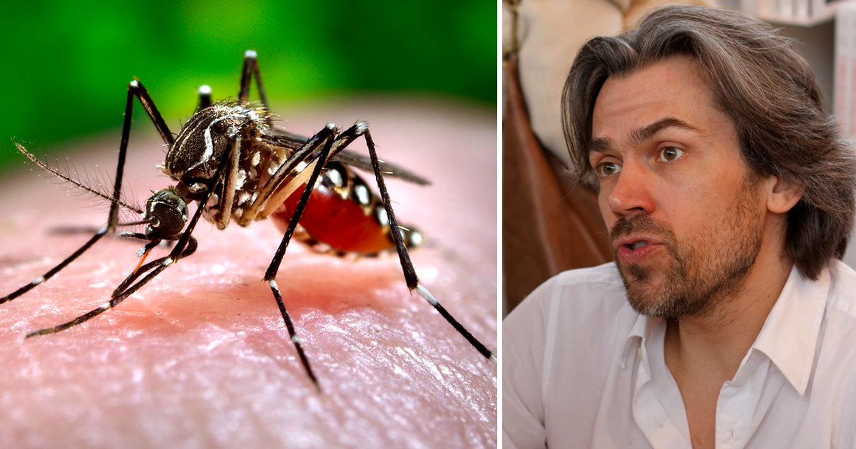 Ativista pelos direitos dos animais apela às pessoas para que deixem os mosquitos sugar-lhes o sangue