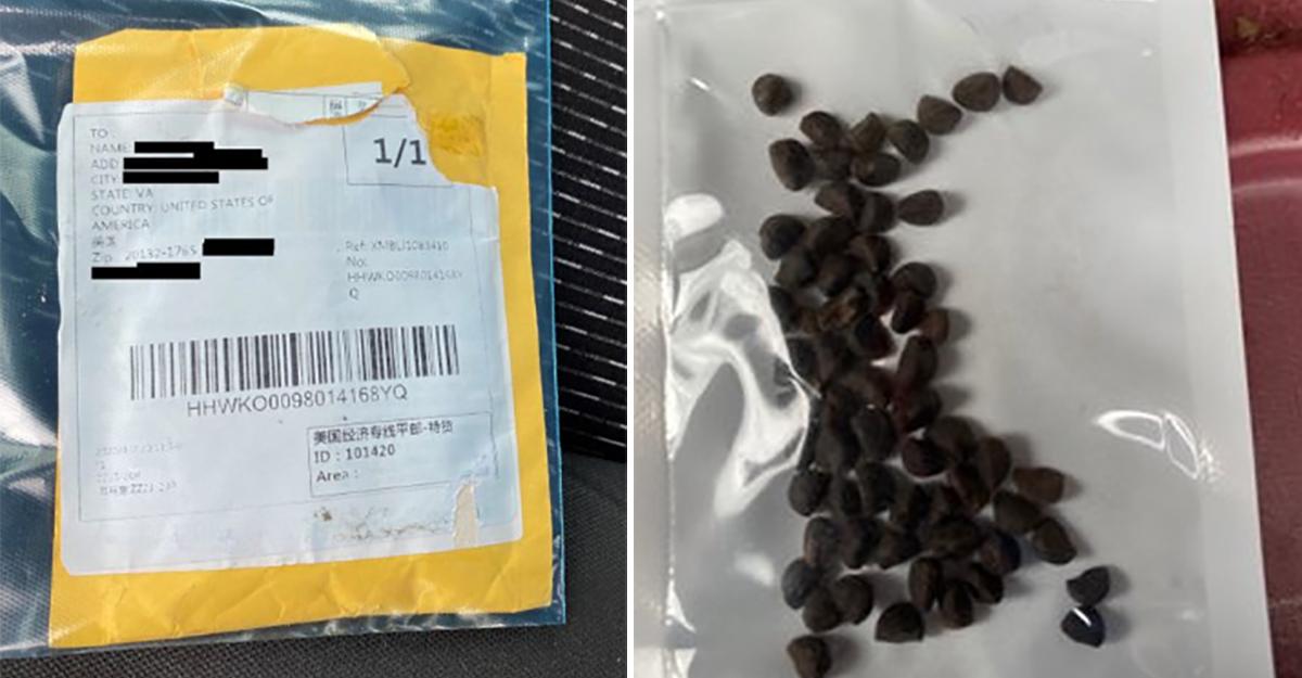 As pessoas estão a receber sementes misteriosas vindas da China e estão a dizer-lhes para não as plantarem