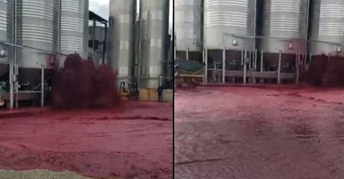 50,000 litros de vinho tinto explodem de um tanque