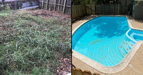 Homem compra casa por 18 mil euros e descobre uma piscina escondida no meio do jardim