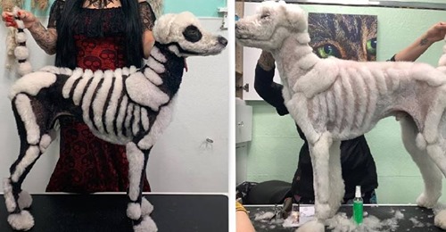 Mulher transforma um cão em esqueleto para o Dia das Bruxas