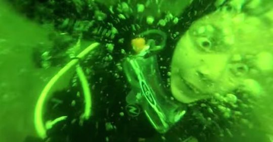 Vídeo intenso mostra o momento em que um mergulhador tem um ataque de pânico e arranca a máscara