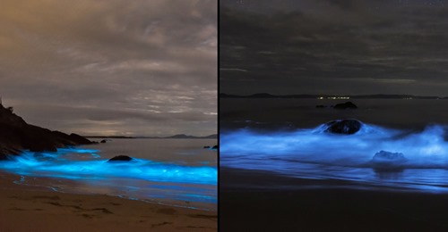 Timelapse mostra ondas azuis a iluminar uma praia na Austrália