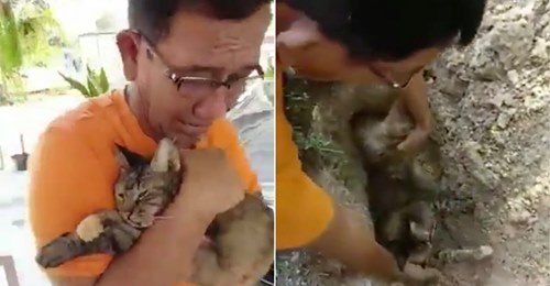 Homem chora quando o seu gato morre e reza antes de o enterrar perto de sua casa