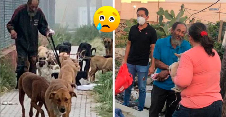 Homem recebe comida envenenada para alimentar os seus cães e 17 dos 25 que ele tinha ao seu encargo faleceram