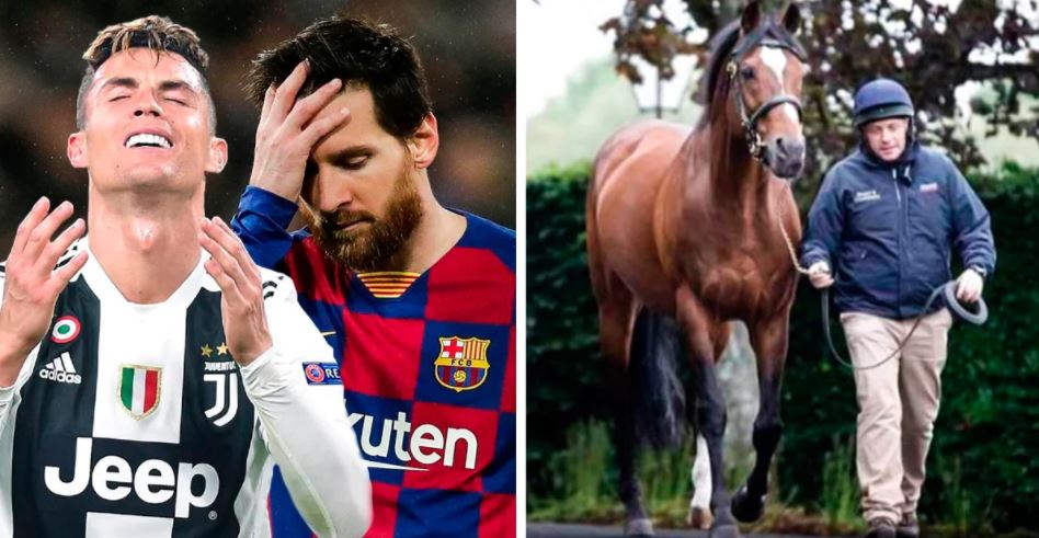 Galileo, o cavalo que vale mais que Lionel Messi e Cristiano Ronaldo juntos