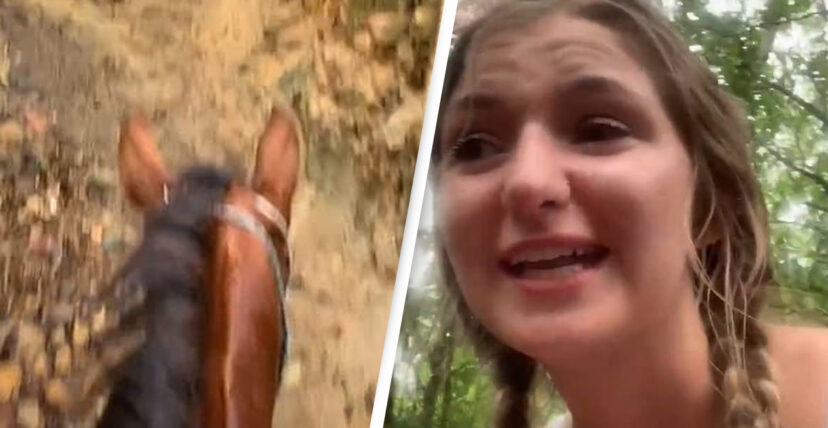 Turista bêbeda perde-se numa floresta enquanto monta a cavalo e não sabe como é lá foi parar