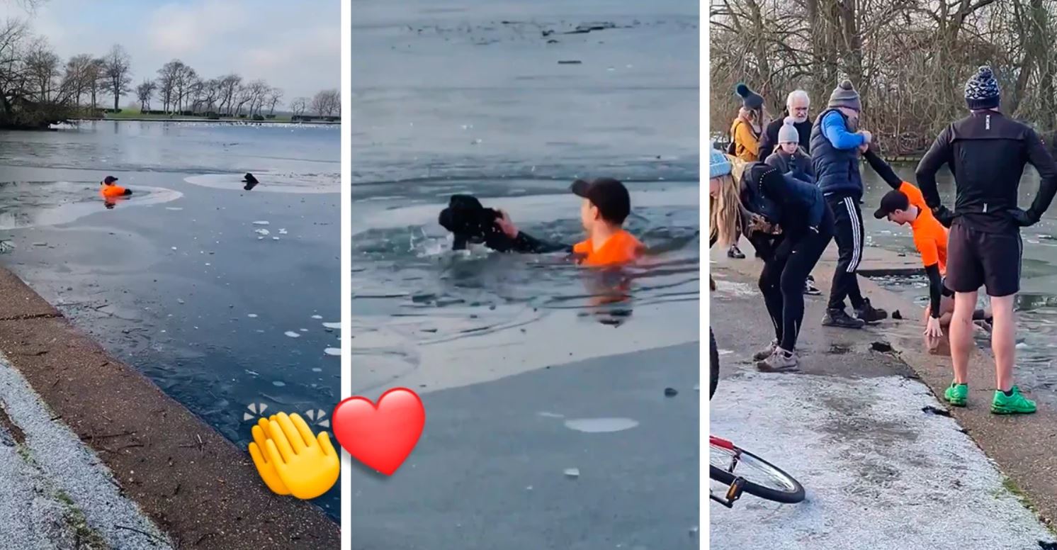 Herói sem capa salva cão de morrer afogado em água congelada