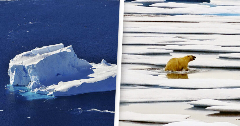 A Terra está a perder mais de 1.2 triliões de toneladas de gelo por ano