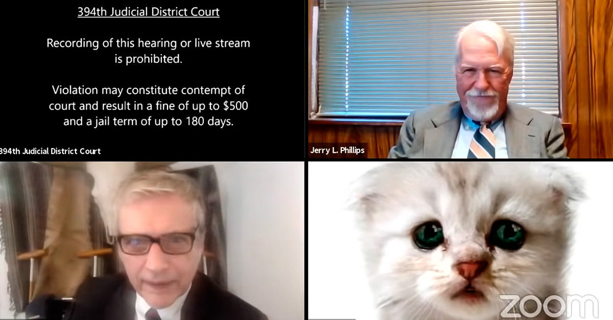 Advogado ativa filtro de gato por acidente em plena audiência