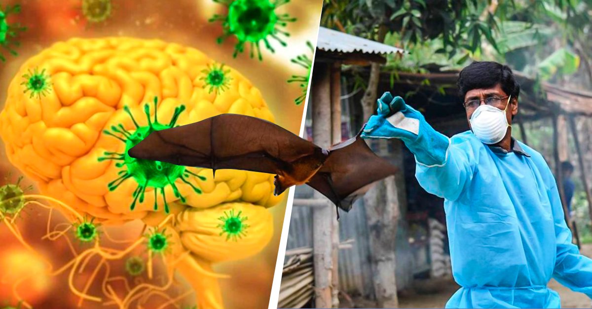 Este vírus pode ser o responsável pela próxima pandemia e é muito mais letal do que o coronavírus