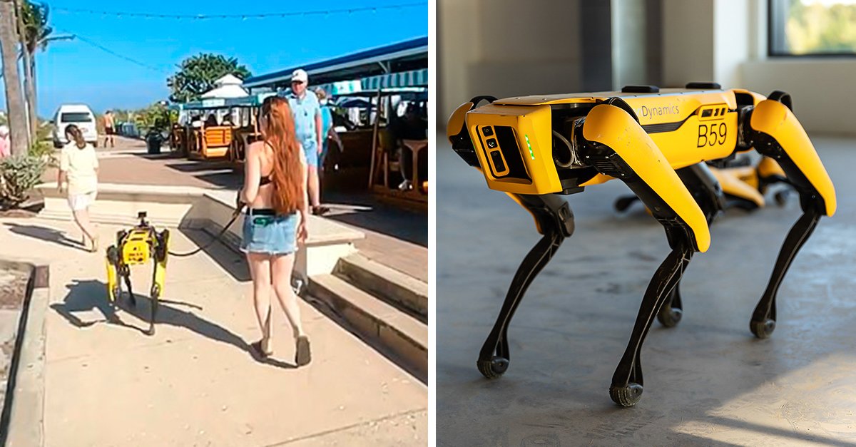 Mulher é vista a passear o seu cão robô da Boston Dynamics