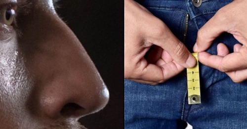 Homens com nariz grande tendem a ter o VERGALHO maior 🍆