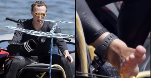 Mark Zuckerberg visto a fazer surf com uma pulseira no pé para afastar tubarões