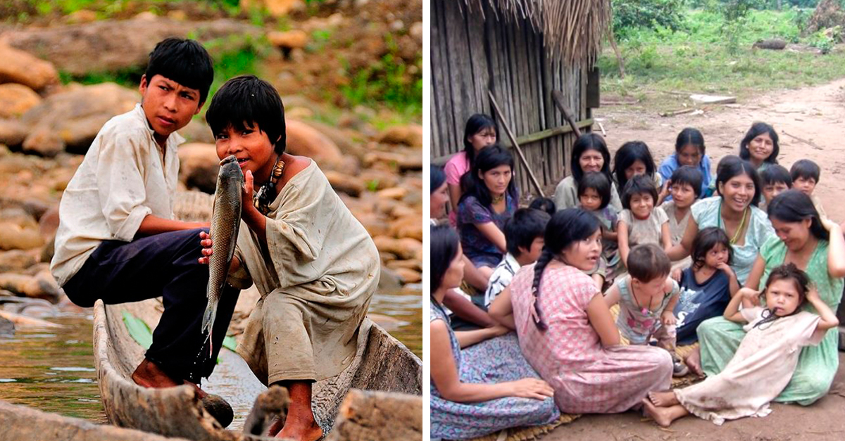Os Tsimané, a tribo amazónica cujo cérebro dos seus habitantes envelhece 70% mais lentamente do que o normal