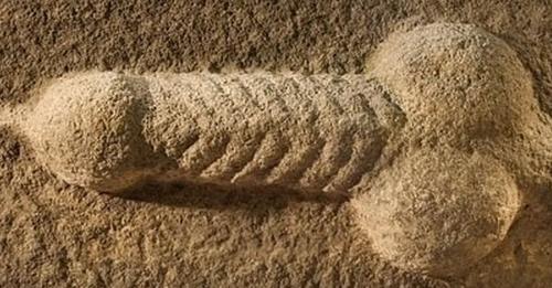 Escultura de um "MANGALHO" encontrado durante uma escavação arqueológica