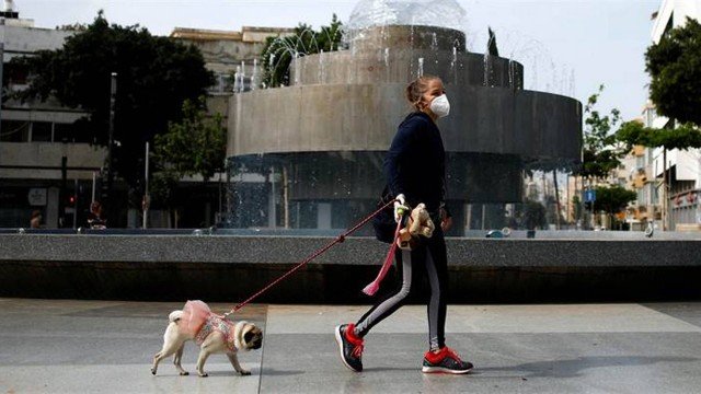 Cidade israelita regista o ADN dos cães para combater o excesso de fezes deixadas na rua