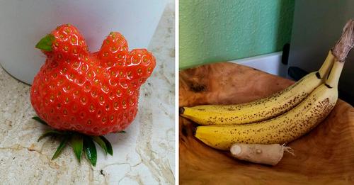 30 frutas e vegetais que se parecem com coisas estranhas e engraçadas