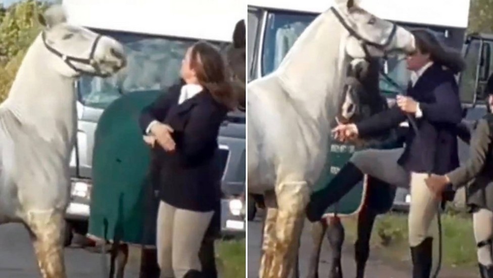 Professora apanhada a agredir um cavalo durante aulas de equitação