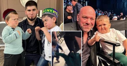 Dana White e a UFC fizeram uma proposta oficial por um combate entre Hasbulla e Abdu Rozik