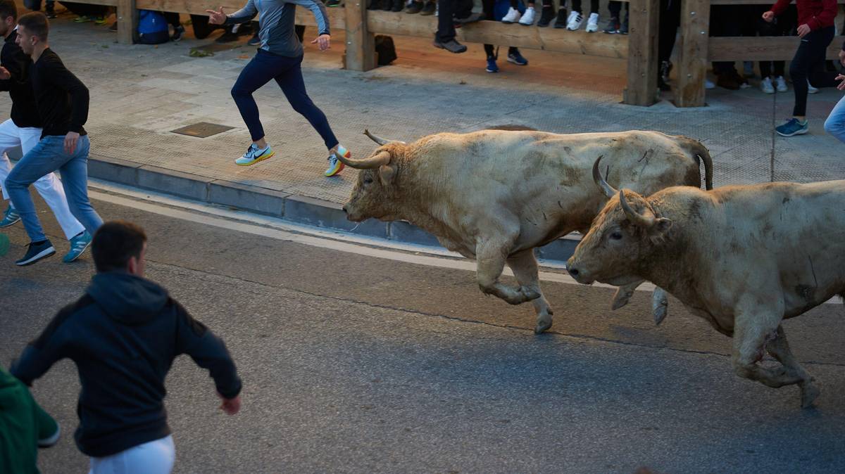 Homem morto depois de ter sido ceifado por um touro num festival em Espanha