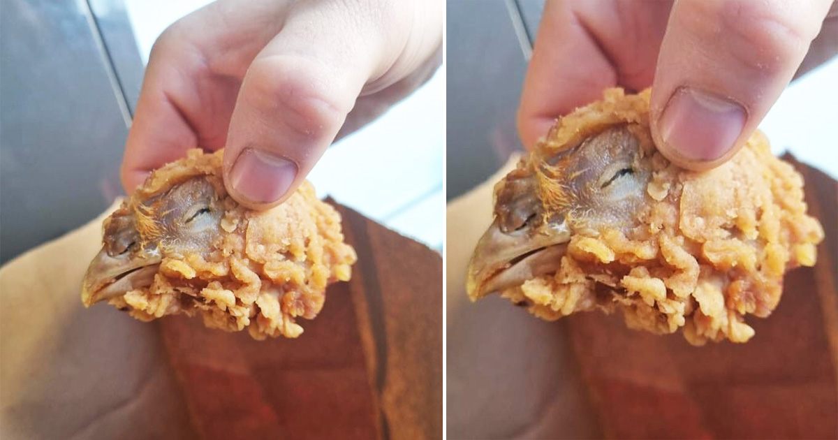 Mulher encontra cabeça de frango na sua encomenda de KFC