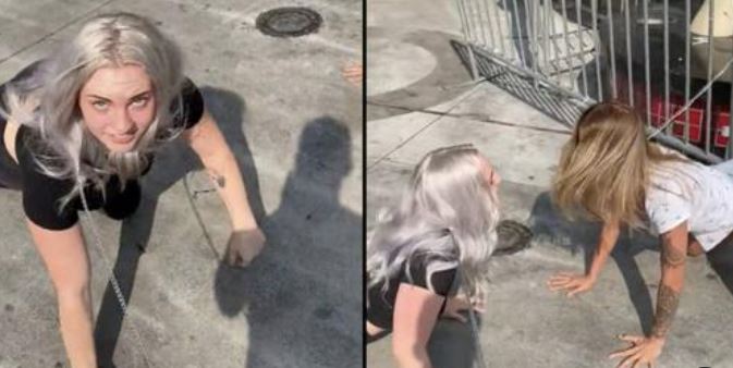 Mulher que se despediu do seu emprego para viver "como um cão" envolve-se em briga com outro "cão" na rua