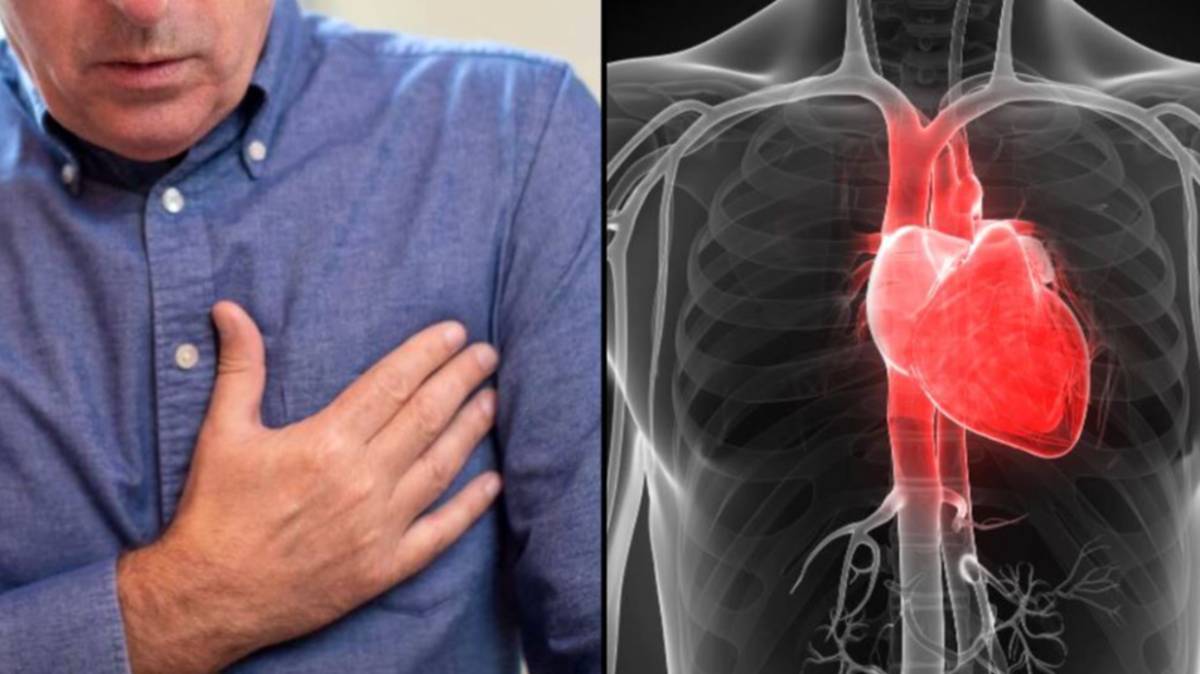 Cientistas podem estar em vias de criar a primeira cura de sempre para ataques cardíacos