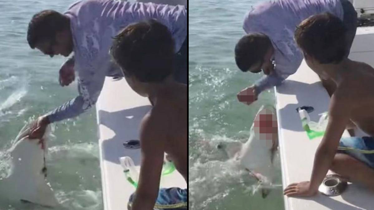 Pescador perde um dedo depois de ter tentado apanhar um tubarão